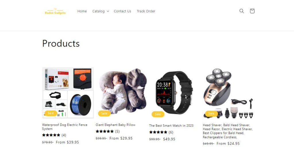 General dropshipping store examples 7 (1)